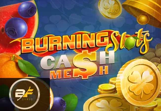 Burning Slots Cash Mesh